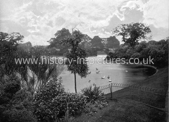 The Lake, Dulwich Park, London. c.1890's